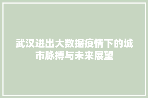 武汉进出大数据疫情下的城市脉搏与未来展望
