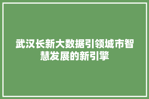 武汉长新大数据引领城市智慧发展的新引擎