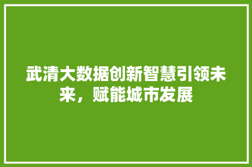 武清大数据创新智慧引领未来，赋能城市发展
