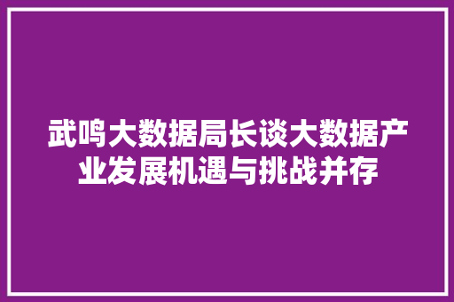 武鸣大数据局长谈大数据产业发展机遇与挑战并存