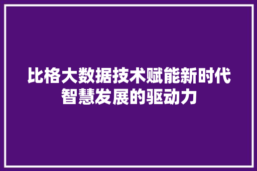 比格大数据技术赋能新时代智慧发展的驱动力