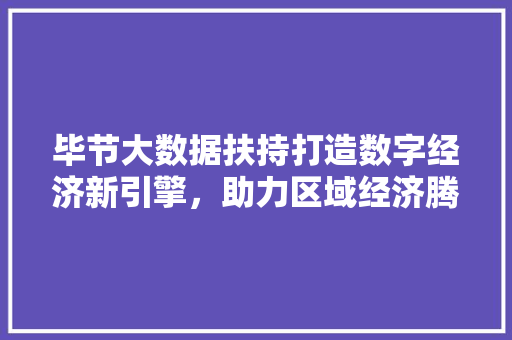 毕节大数据扶持打造数字经济新引擎，助力区域经济腾飞