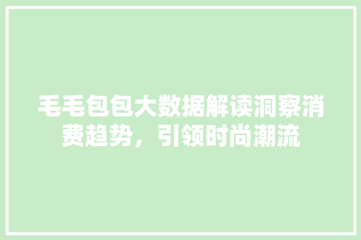 毛毛包包大数据解读洞察消费趋势，引领时尚潮流