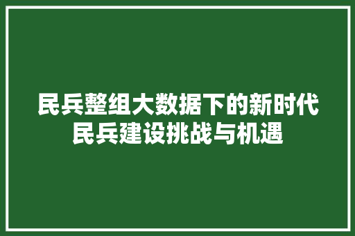 民兵整组大数据下的新时代民兵建设挑战与机遇