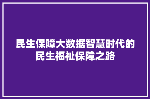 民生保障大数据智慧时代的民生福祉保障之路