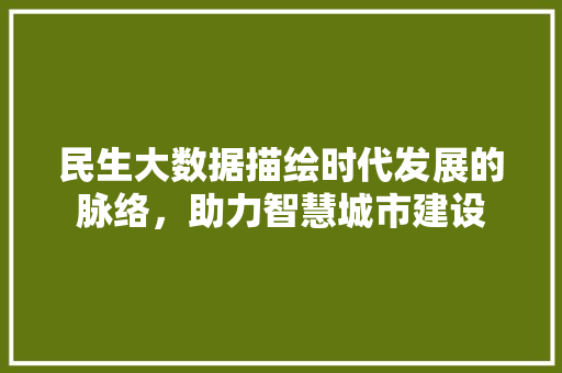民生大数据描绘时代发展的脉络，助力智慧城市建设