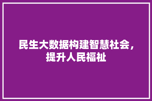 民生大数据构建智慧社会，提升人民福祉