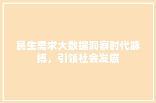 民生需求大数据洞察时代脉搏，引领社会发展
