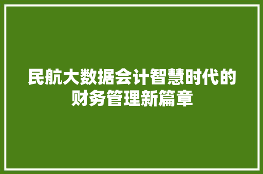 民航大数据会计智慧时代的财务管理新篇章