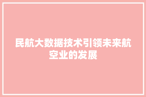 民航大数据技术引领未来航空业的发展