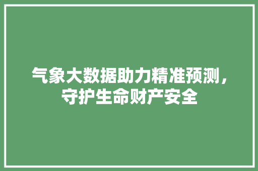 气象大数据助力精准预测，守护生命财产安全
