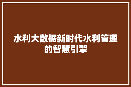 水利大数据新时代水利管理的智慧引擎
