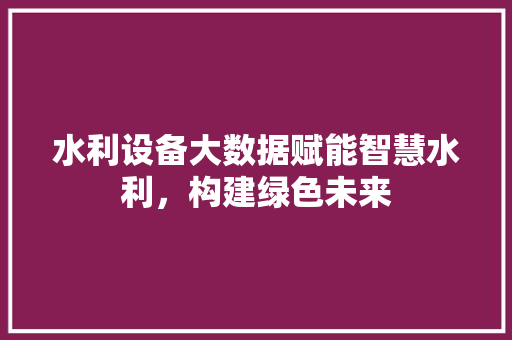 水利设备大数据赋能智慧水利，构建绿色未来