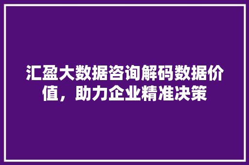 汇盈大数据咨询解码数据价值，助力企业精准决策