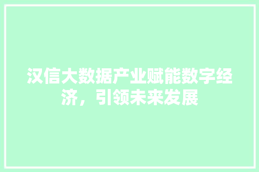 汉信大数据产业赋能数字经济，引领未来发展