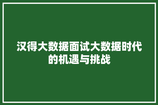 汉得大数据面试大数据时代的机遇与挑战 汉得大数据面试大数据时代的机遇与挑战