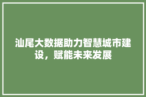 汕尾大数据助力智慧城市建设，赋能未来发展