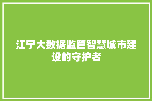江宁大数据监管智慧城市建设的守护者 江宁大数据监管智慧城市建设的守护者
