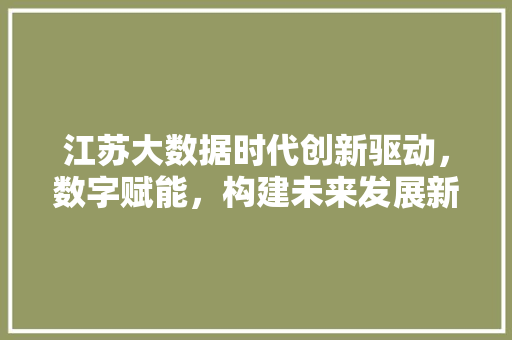 江苏大数据时代创新驱动,数字赋能,构建未来发展新格局 江苏大数据时代创新驱动,数字赋能,构建未来发展新格局