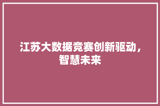 江苏大数据竞赛创新驱动,智慧未来 江苏大数据竞赛创新驱动,智慧未来