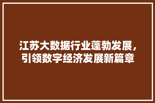 江苏大数据行业蓬勃发展，引领数字经济发展新篇章