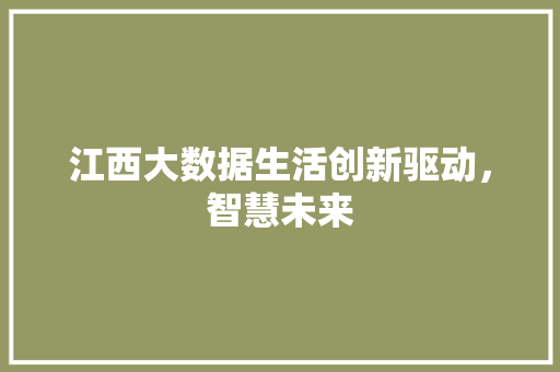 江西大数据生活创新驱动，智慧未来