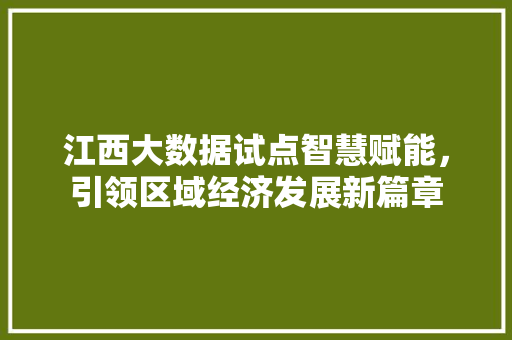 江西大数据试点智慧赋能，引领区域经济发展新篇章