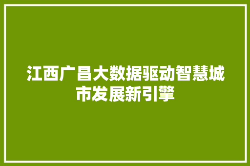 江西广昌大数据驱动智慧城市发展新引擎