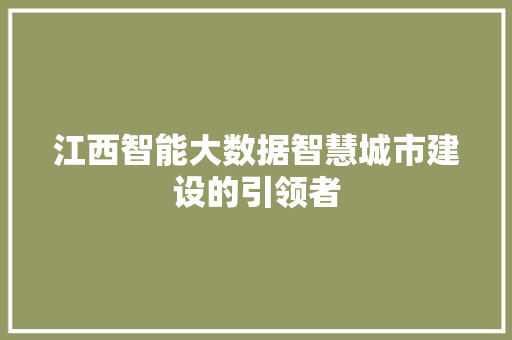 江西智能大数据智慧城市建设的引领者