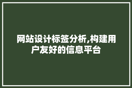 网站设计标签分析,构建用户友好的信息平台 网站设计标签分析,构建用户友好的信息平台 电脑基础