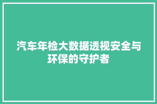 汽车年检大数据透视安全与环保的守护者