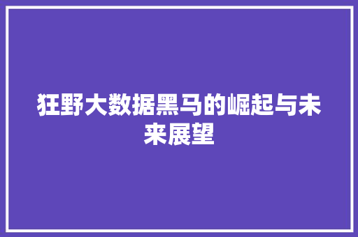 狂野大数据黑马的崛起与未来展望 电脑基础