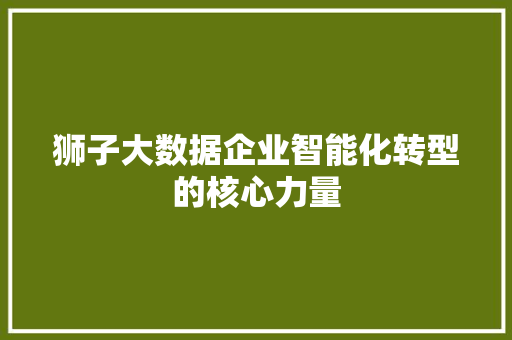 狮子大数据企业智能化转型的核心力量 电脑基础