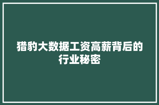 猎豹大数据工资高薪背后的行业秘密
