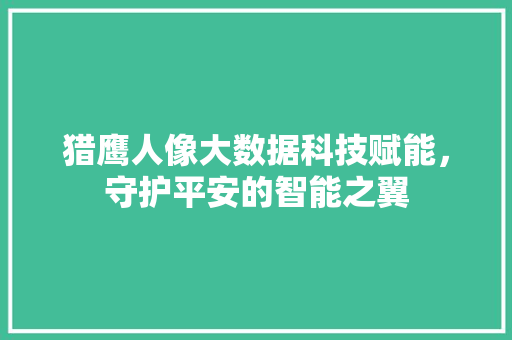 猎鹰人像大数据科技赋能，守护平安的智能之翼