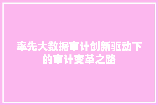 率先大数据审计创新驱动下的审计变革之路 率先大数据审计创新驱动下的审计变革之路