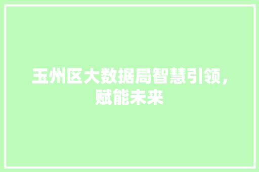 玉州区大数据局智慧引领，赋能未来