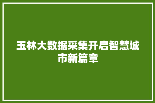玉林大数据采集开启智慧城市新篇章