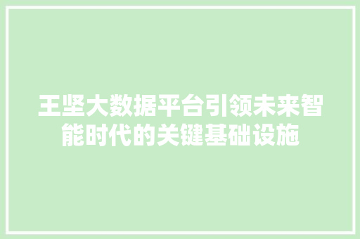 王坚大数据平台引领未来智能时代的关键基础设施