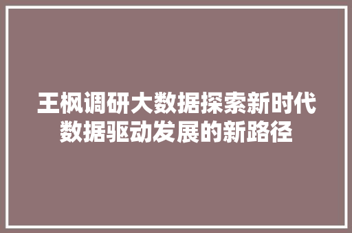 王枫调研大数据探索新时代数据驱动发展的新路径