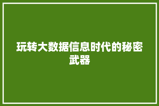玩转大数据信息时代的秘密武器