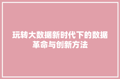 玩转大数据新时代下的数据革命与创新方法