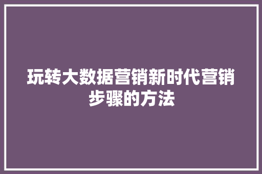 玩转大数据营销新时代营销步骤的方法