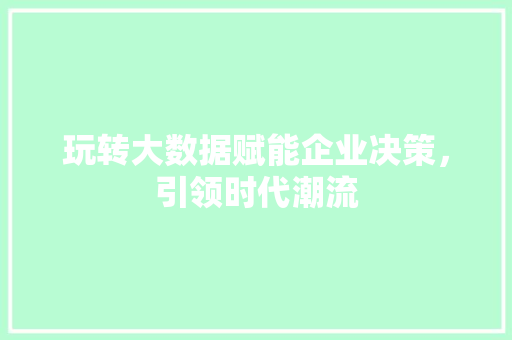 玩转大数据赋能企业决策，引领时代潮流