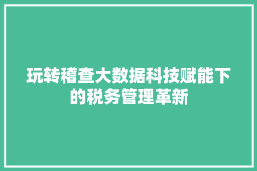 玩转稽查大数据科技赋能下的税务管理革新