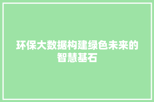 环保大数据构建绿色未来的智慧基石