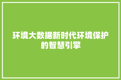 环境大数据新时代环境保护的智慧引擎