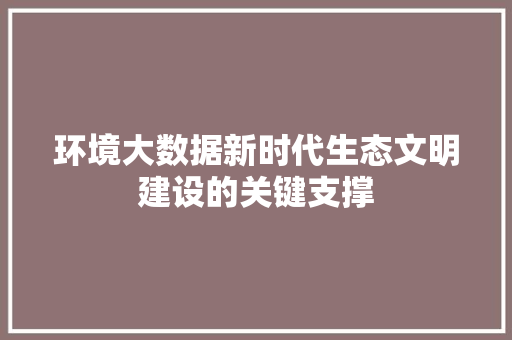 环境大数据新时代生态文明建设的关键支撑