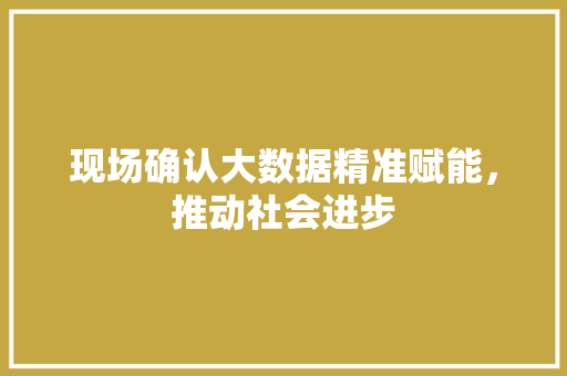 现场确认大数据精准赋能，推动社会进步