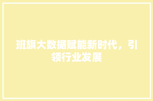 班旗大数据赋能新时代，引领行业发展